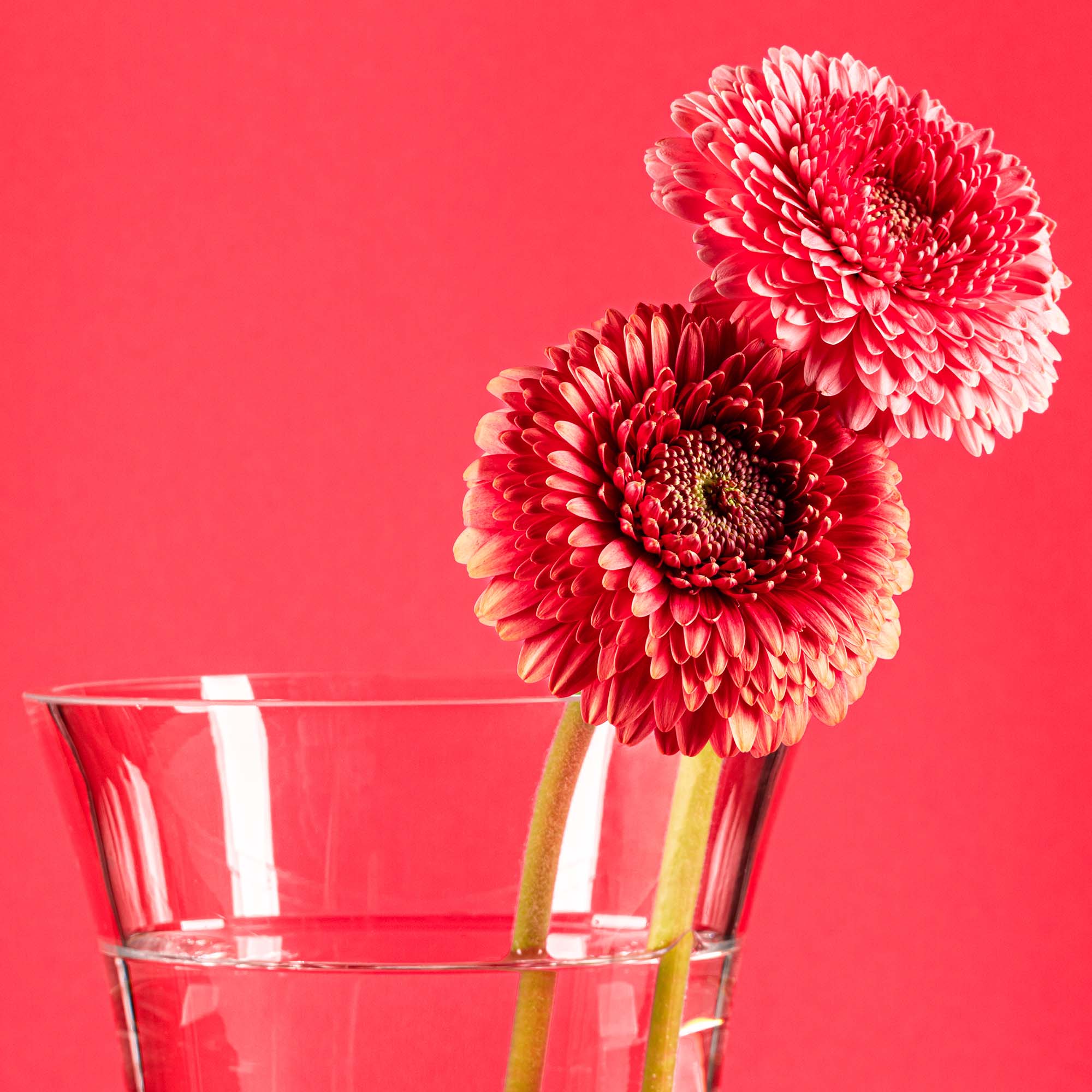 Váza na kvety FLORA